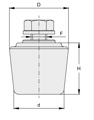 Oliva conica